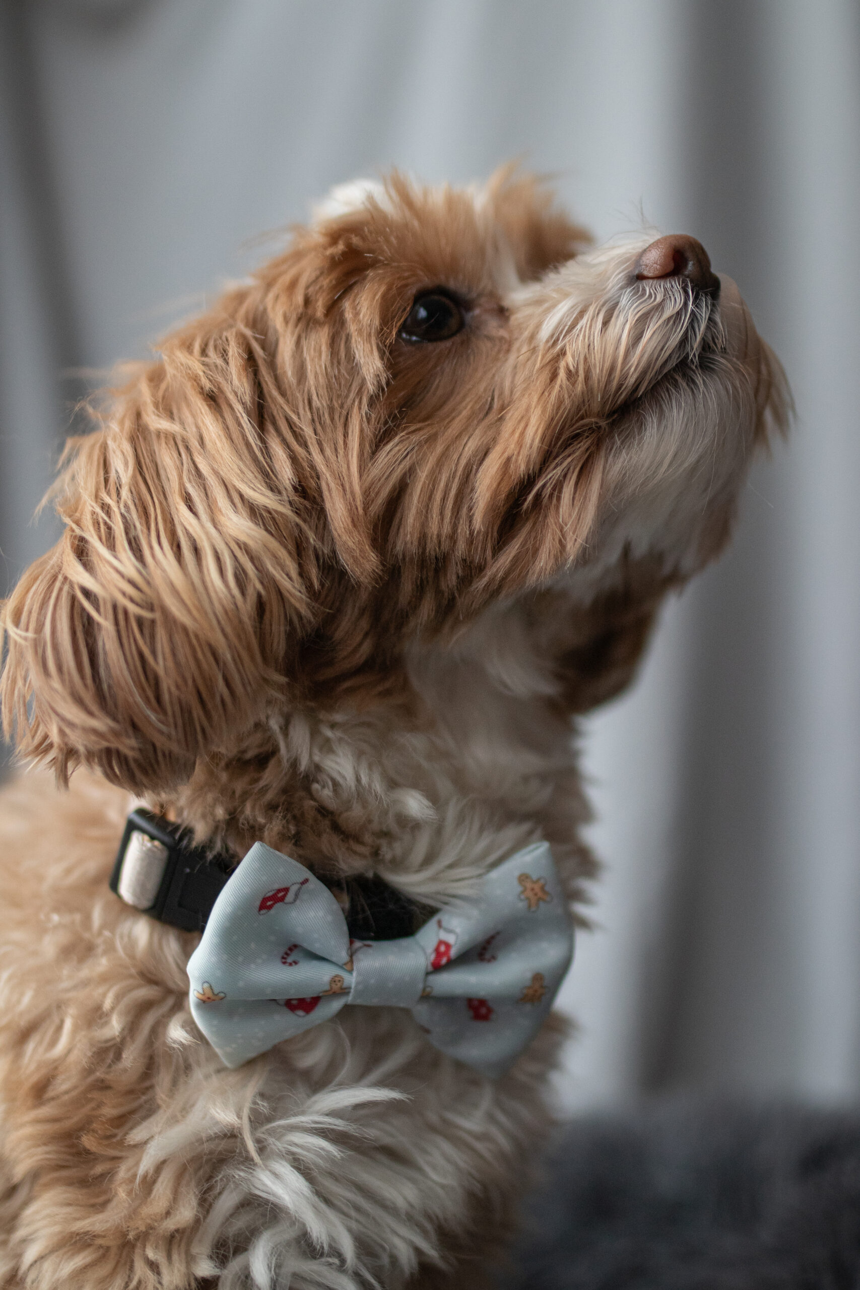 Kerststrik lichtblauw